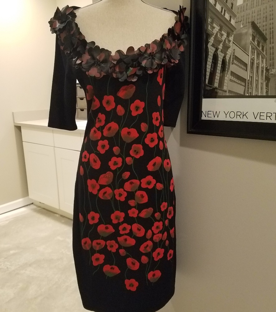Queenspark Woman Knit Sweaterdress Poppy Print